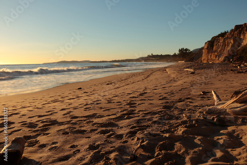 A picturesque sandy beach with branches lying on it at sunset
