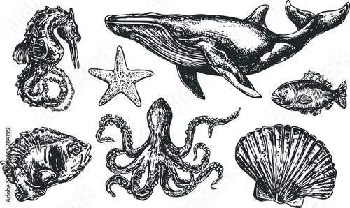 Collection of marine life including whale, seahorse, octopus, fish, seashell, and starfish
