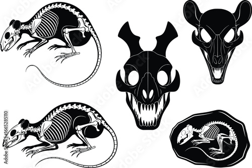 Creepy collection of stylized rat skeletons and spooky skull designs for halloween and dark themes