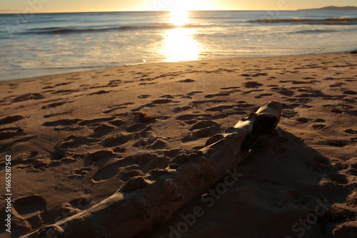Sea sand and driftwood at sunset