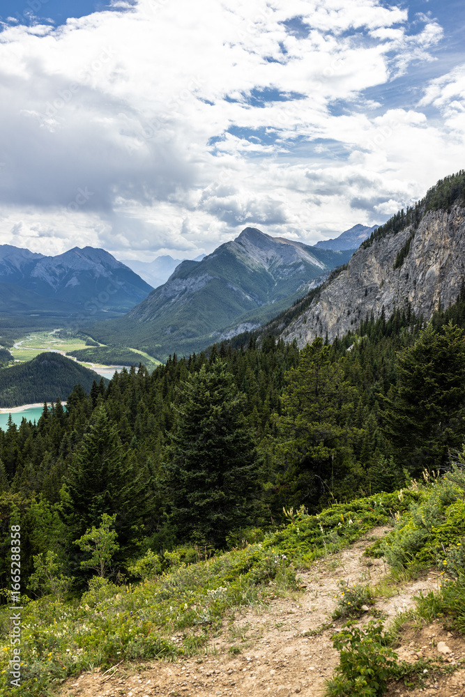 Fototapeta premium Scenic View of Rocky Mountains and Forest in Kananaskis Country