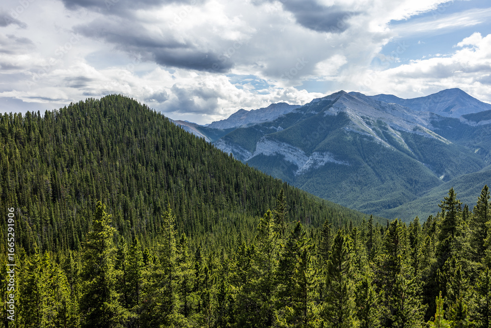 Fototapeta premium Scenic View of Forested Mountains in Kananaskis Country, Alberta