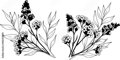 Set of limonium flowers. Hand drawn line leaves branches and blooming. Wedding elegant wildflowers for invitation save the date card. Vector trendy
