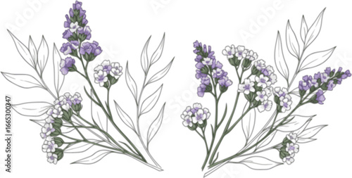 Set of limonium flowers. Hand drawn line leaves branches and blooming. Wedding elegant wildflowers for invitation save the date card. Vector trendy
