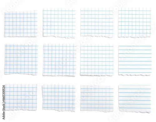 Collection of torn graph and lined paper