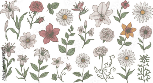 Set of detailed various flowers and foliage, intricate details and delicate forms. Hand drawn vector illustration with elegant botanical elements for invitation, save the date card