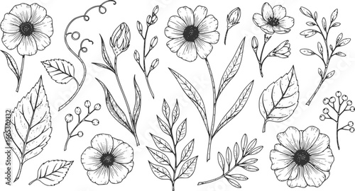 Set of detailed various flowers and foliage, intricate details and delicate forms. Hand drawn vector illustration with elegant botanical elements for invitation, save the date card