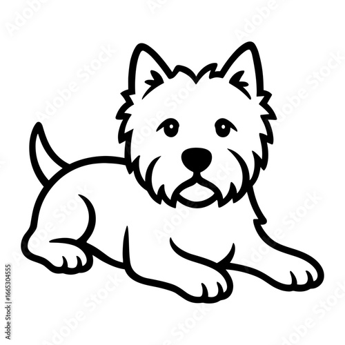 West Highland White Terrier Laying Down