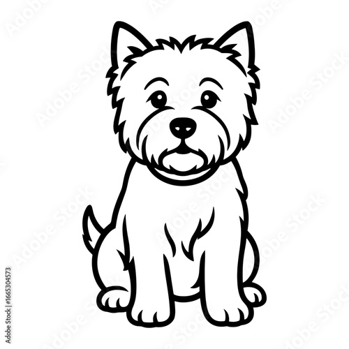 West Highland White Terrier Sitting