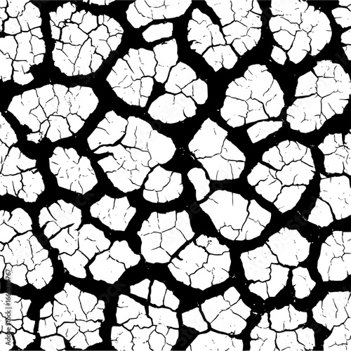 Texture cracked surface vector grunge dry earth ground pattern black and white abstract seamless background