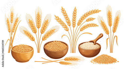 Golden Wheat Stalks and Grains in Wooden Bowls for Healthy Harvest and Culinary Delights Illustration