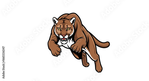 Aggressive cougar pouncing forward with fierce expression