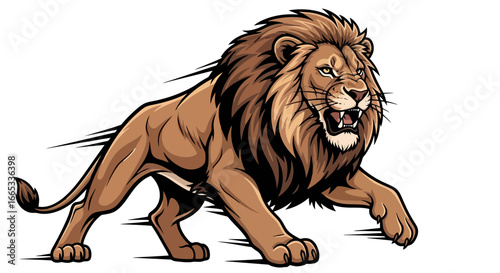 Aggressive lion roaring and charging forward