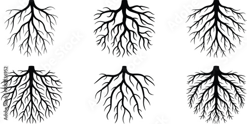 Tree root silhouette, branching roots vector, plant underground system, nature design illustration, organic growth pattern, forest element, botanical roots artwork, natural texture