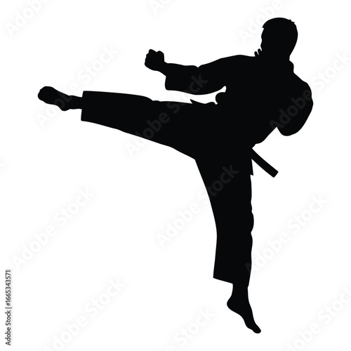 Dynamic karate silhouette captures martial arts power with a powerful side kick in motion silhouette