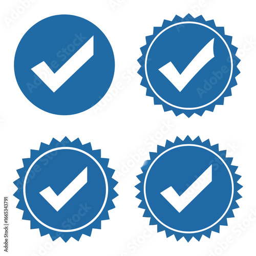 Four blue checkmark icons with different border styles for approval and verification silhouette