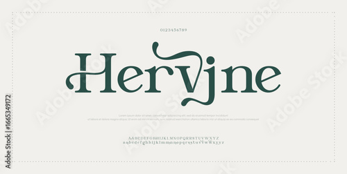 Hervine elegant font alphabet uppercase lowercase and number. Classic lettering minimal fashion designs. Typography modern serif fonts regular decorative vintage concept. Vector illustration
