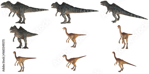 Dinosaurs in varied poses on white background