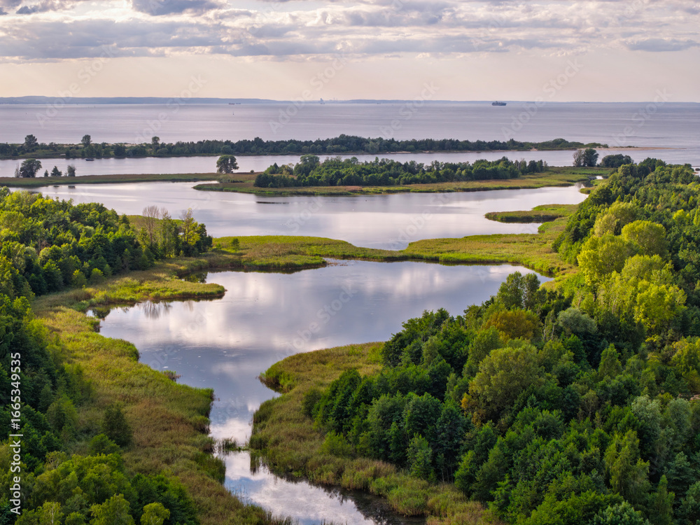 Fototapeta premium Beautiful scenery of Mikoszewo lake at summer, Poland