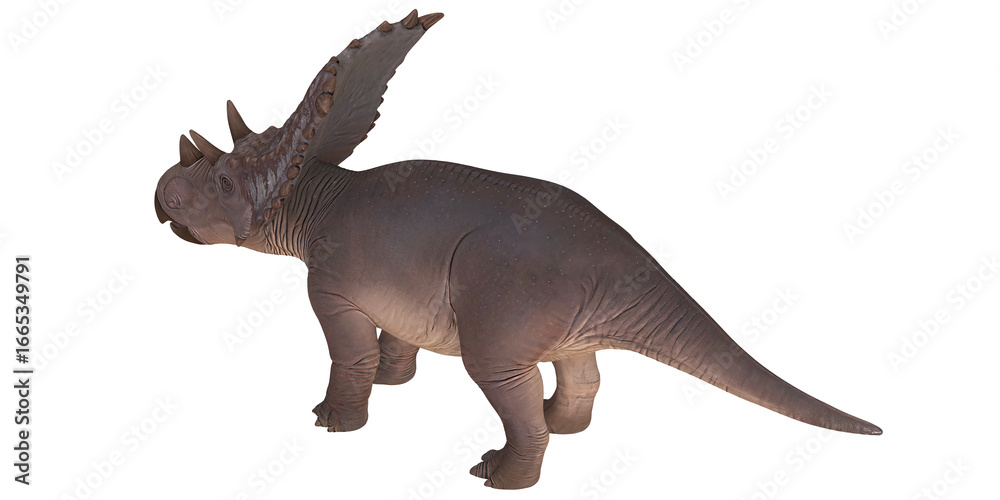 Fototapeta premium Majestic dinosaur with distinctive frill and horns