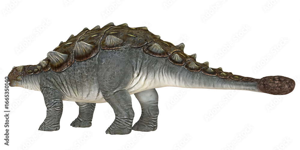 Fototapeta premium Realistic dinosaur model of Ankylosaurus.