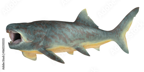 Billede på lærred Realistic depiction of a prehistoric Dunkleosteus fish.