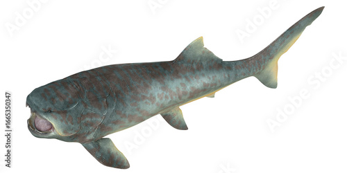 Wall Mural Realistic dinosaur-era marine predator render