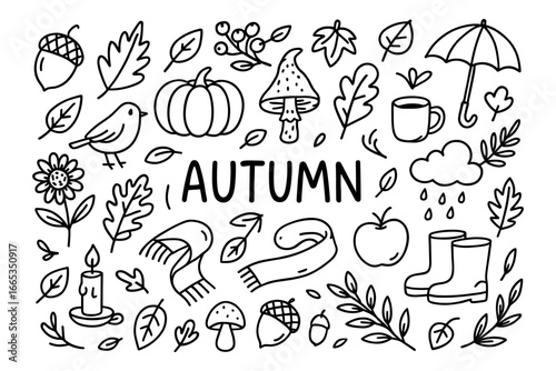 Charming autumn doodles featuring leaves, pumpkins, and cozy elements