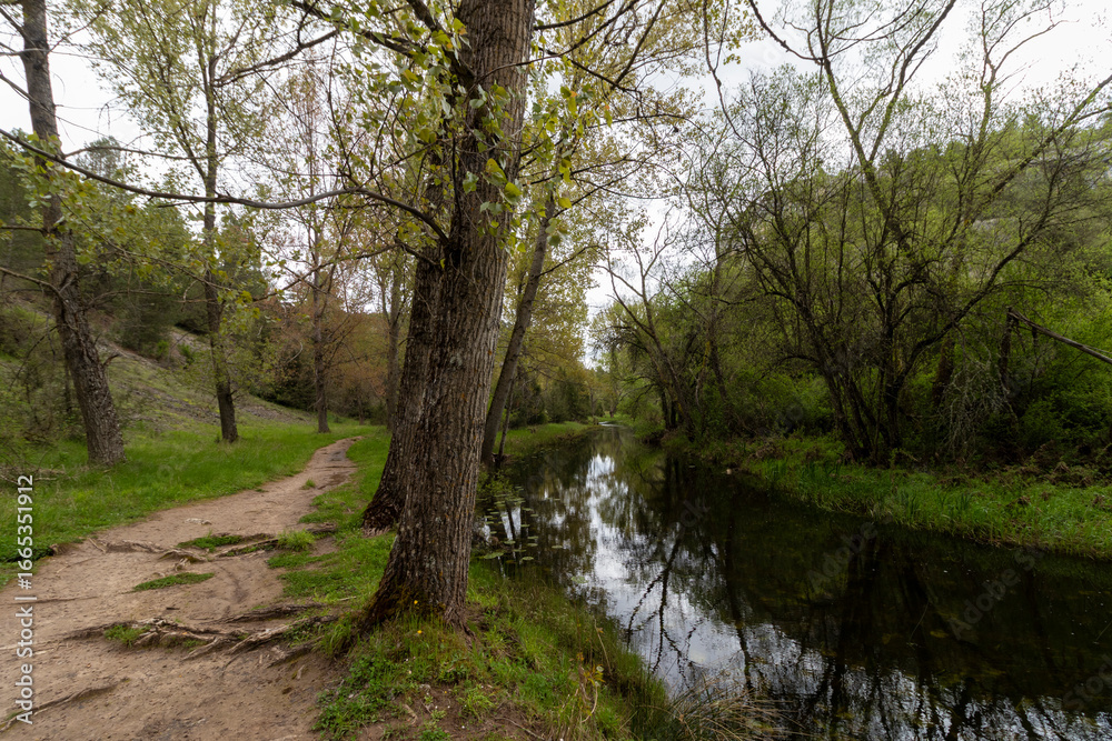 Naklejka premium Hiking trail following calm river in ucero, spain, surrounded by lush green vegetation