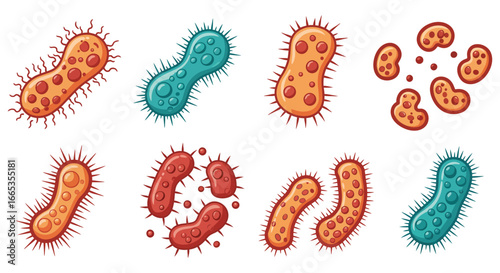 Colorful illustration of various bacteria shapes and types on white background