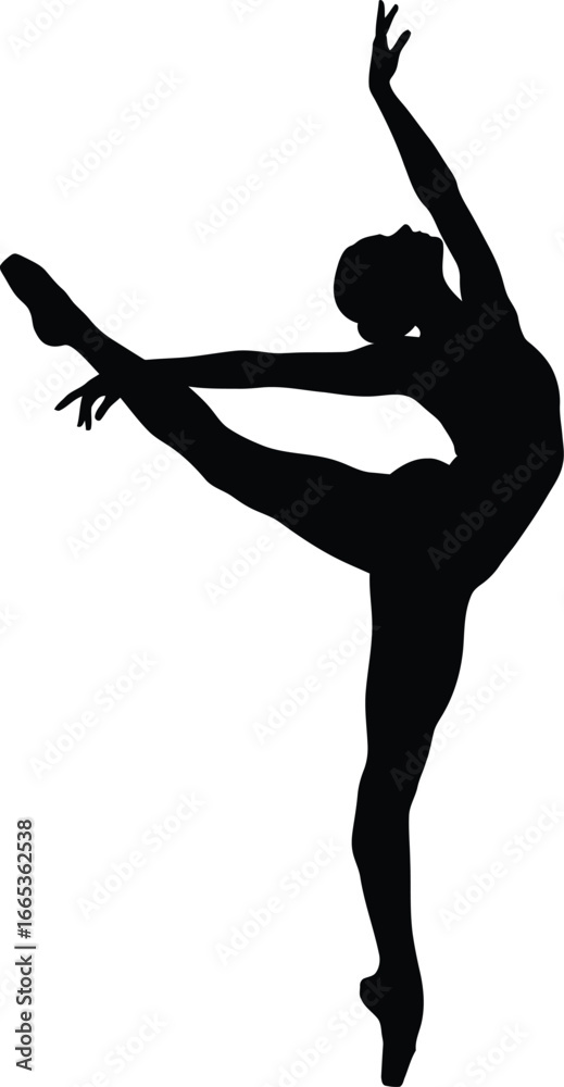 Fototapeta premium A female ballet dancer in a graceful pose on a white background Eps 10
