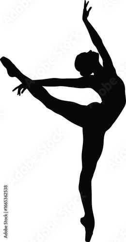 A female ballet dancer in a graceful pose on a white background Eps 10