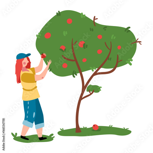 Person happily picking fresh, delicious apples from an abundant fruit tree