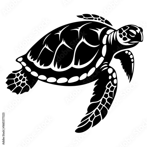 Graphic stylized image of a sea turtle in black and white colors