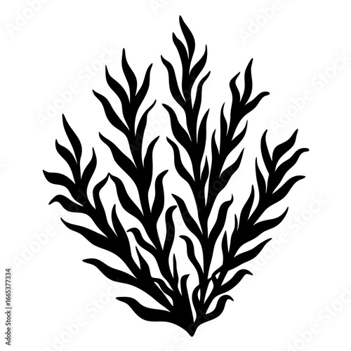 Stylized seaweed illustration on a white background with abstract plant silhouette
