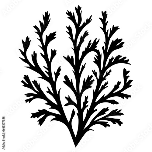 Black silhouette of stylized seaweed or coral, botanical element for designs