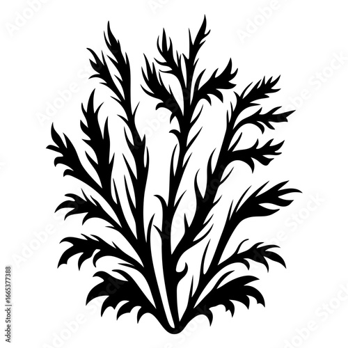 Silhouetted Black Vector Graphic of Plant with Many Spiky Leaves and Branches