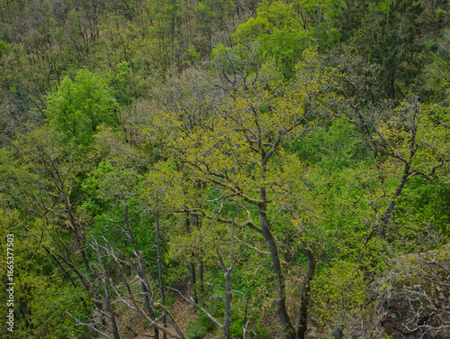Obraz na plátne Countryside landscape at spring daylight