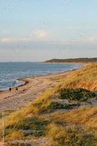 The costline of North Zealand in Denmark, often af spot for hiking and getting some air. 