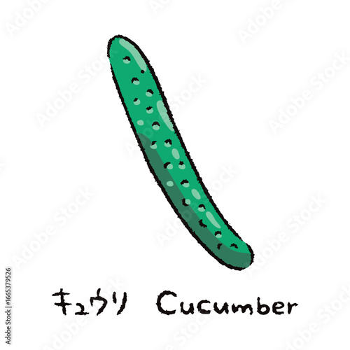 手描きのキュウリ2_名称入