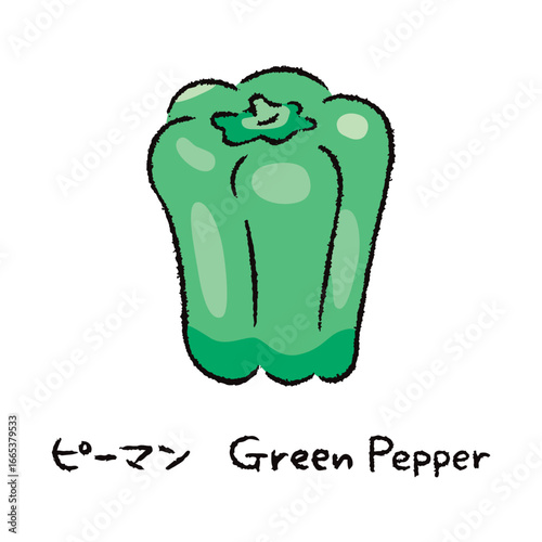 手描きのピーマン2_名称入