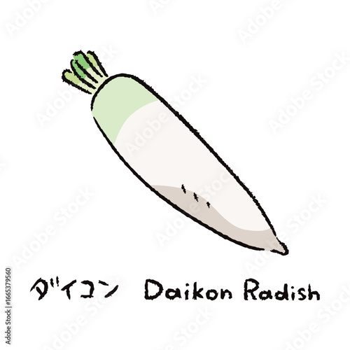 手描きの大根2_名称入