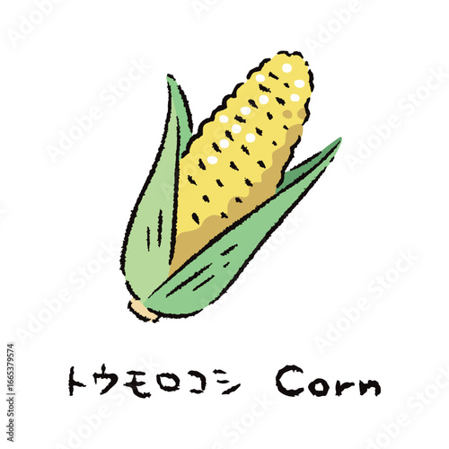 手描きのとうもろこし2_名称入