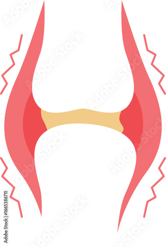 Synovial Joint Icon
