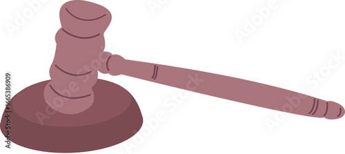 Hammer justice law