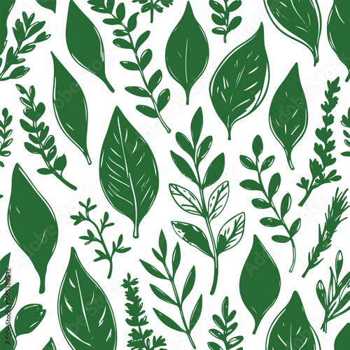 Assorted bay leaf plant and herb doodles, thick ink strokes, hand drawn, vector illustration for culinary, wellness, and organic products 1