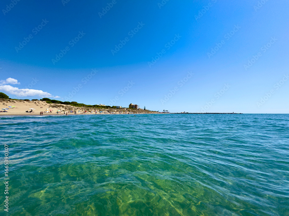Fototapeta premium dunes at the beach near Marbella, view along the Costa del Sol in the summer, Andalusia, Spain