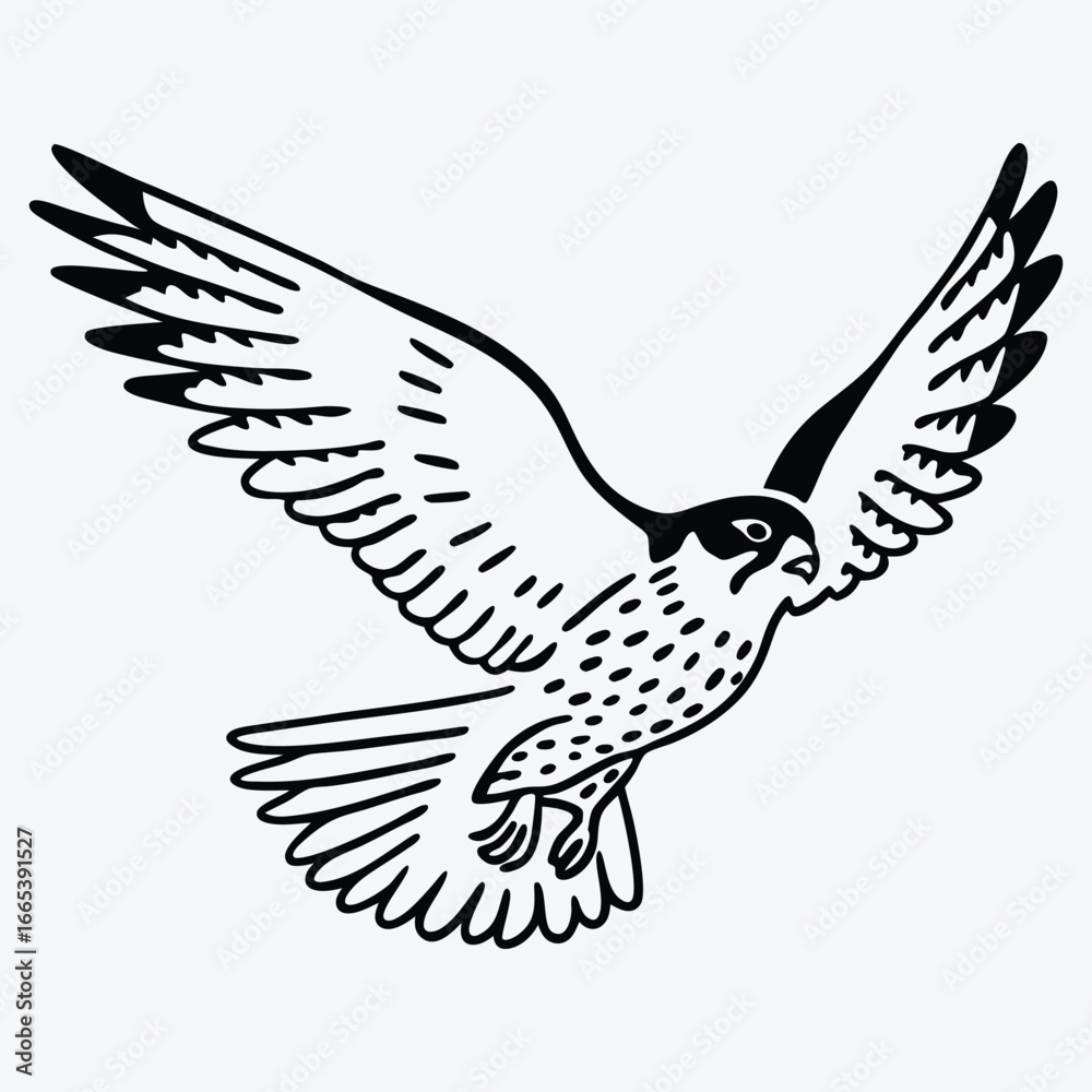 Fototapeta premium Falcon line art White background illustration Generative Ai