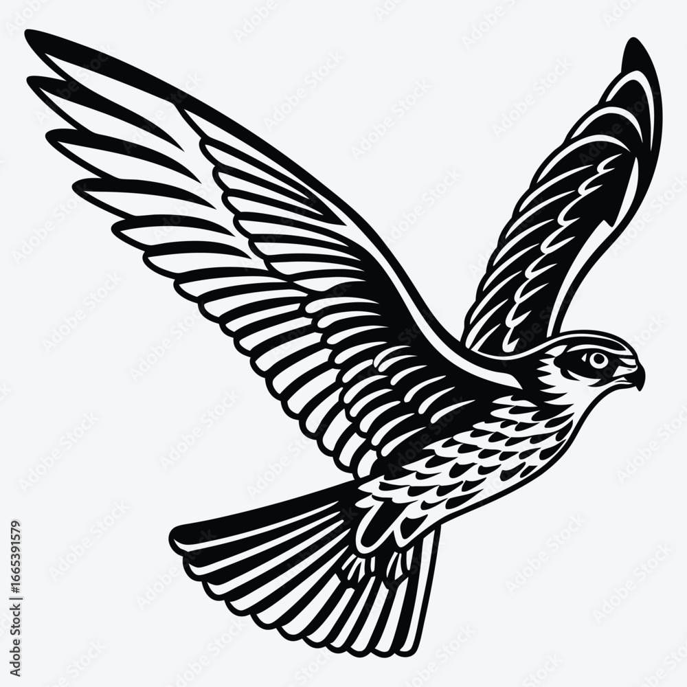 Fototapeta premium Falcon line art White background illustration Generative Ai