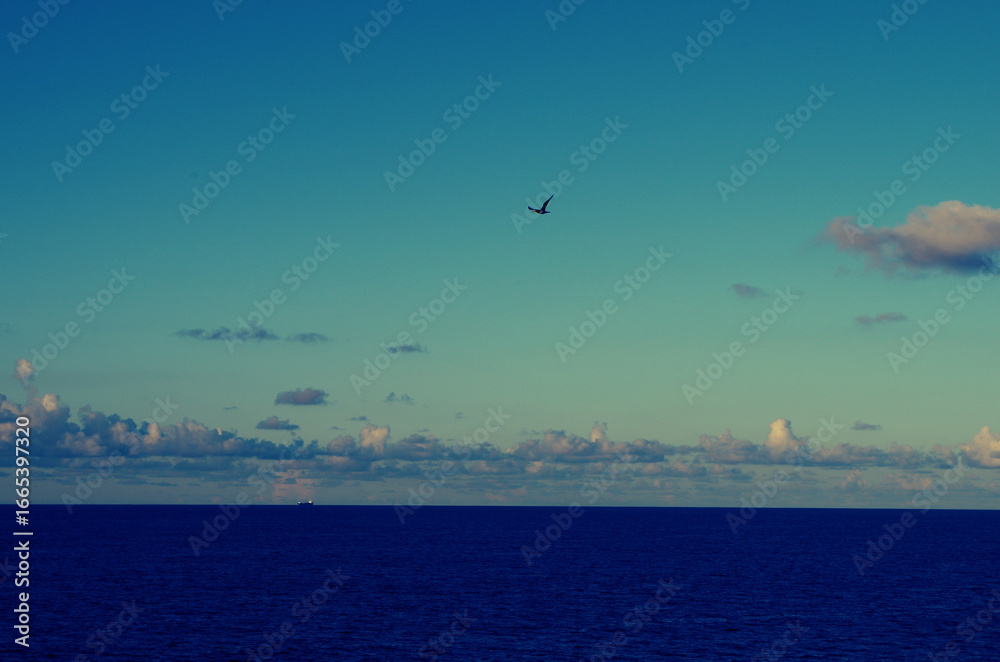 Fototapeta premium flight over the sea